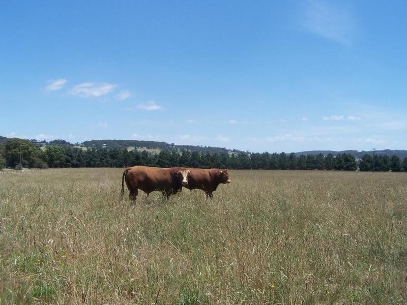 Lot 153 Gorham Road, Crookwell NSW 2583