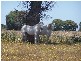 Lot 153 Gorham Road, Crookwell NSW 2583
