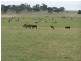 Lot 14 Windellama Road, Goulburn NSW 2580