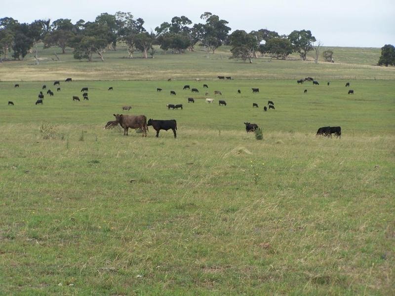 Lot 14 Windellama Road, Goulburn NSW 2580