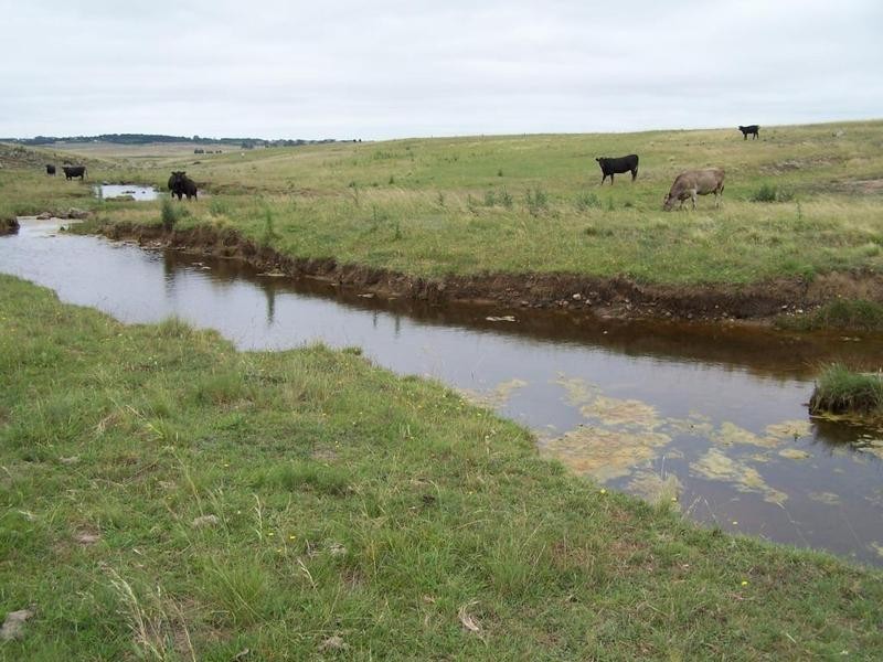 Lot 14 Windellama Road, Goulburn NSW 2580