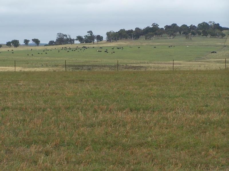 Lot 14 Windellama Road, Goulburn NSW 2580