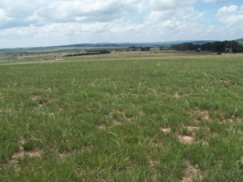 Lot 14 Windellama Road, Goulburn NSW 2580