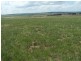 Lot 14 Windellama Road, Goulburn NSW 2580