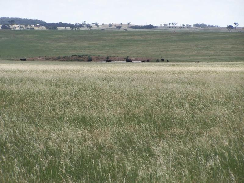 Lot 14 Windellama Road, Goulburn NSW 2580