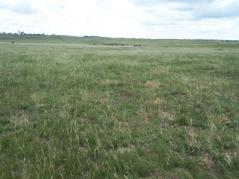 Lot 14 Windellama Road, Goulburn NSW 2580