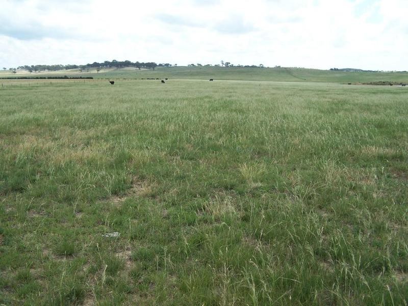 Lot 14 Windellama Road, Goulburn NSW 2580