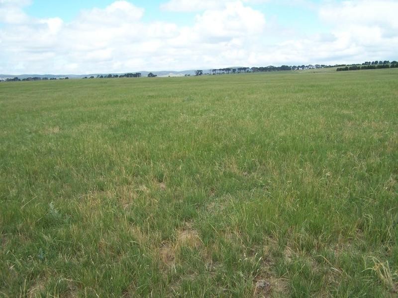 Lot 14 Windellama Road, Goulburn NSW 2580