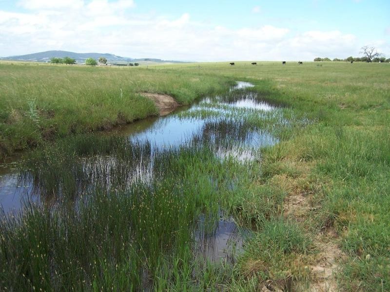 Lot 14 Windellama Road, Goulburn NSW 2580