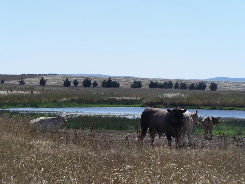 Lot 6 Gundary Lane, Goulburn NSW 2580