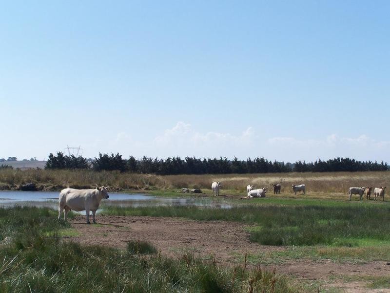 Lot 6 Gundary Lane, Goulburn NSW 2580