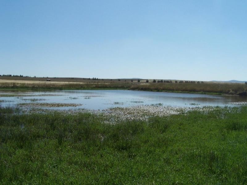 Lot 6 Gundary Lane, Goulburn NSW 2580