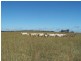 Lot 6 Gundary Lane, Goulburn NSW 2580