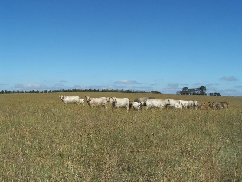 Lot 6 Gundary Lane, Goulburn NSW 2580