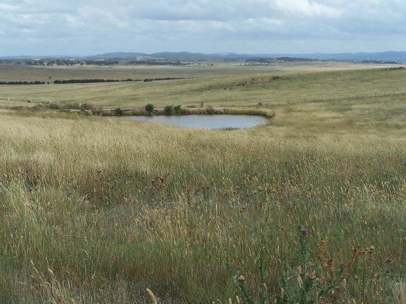 Lot 5 Gundary Lane, Goulburn NSW 2580