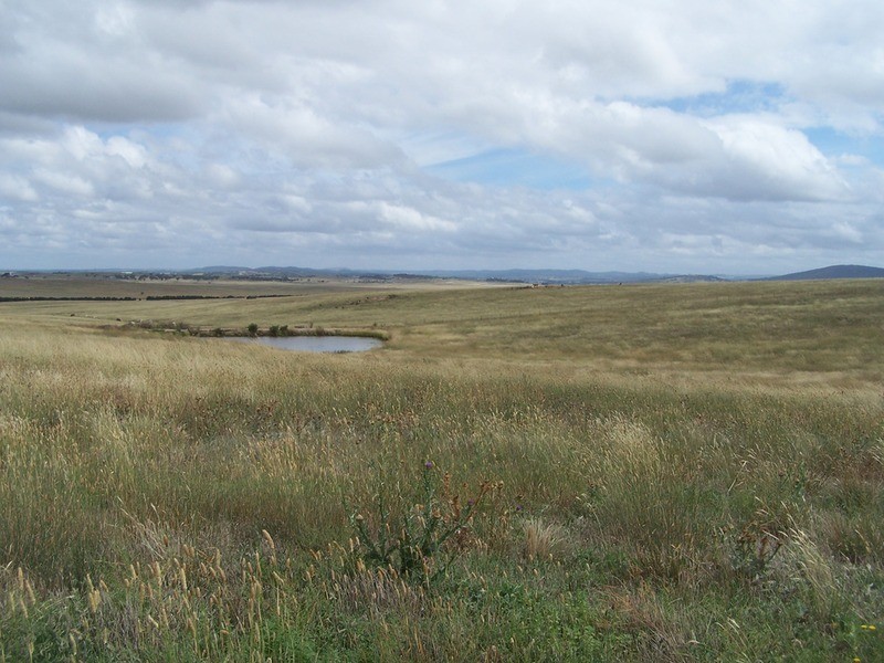 Lot 5 Gundary Lane, Goulburn NSW 2580