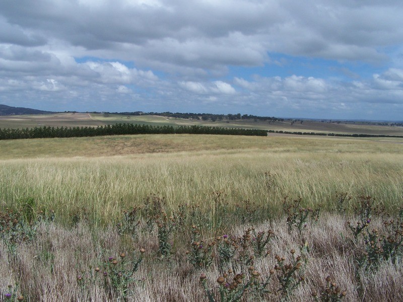 Lot 5 Gundary Lane, Goulburn NSW 2580