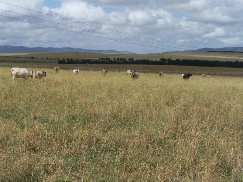 Lot 5 Gundary Lane, Goulburn NSW 2580