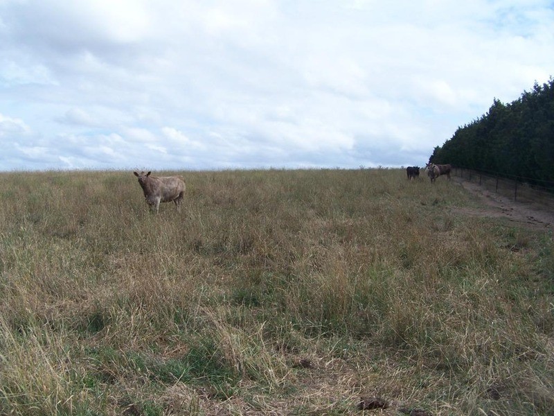Lot 5 Gundary Lane, Goulburn NSW 2580