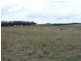 Lot 5 Gundary Lane, Goulburn NSW 2580