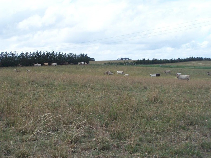Lot 5 Gundary Lane, Goulburn NSW 2580