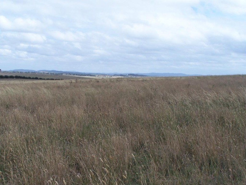 Lot 5 Gundary Lane, Goulburn NSW 2580