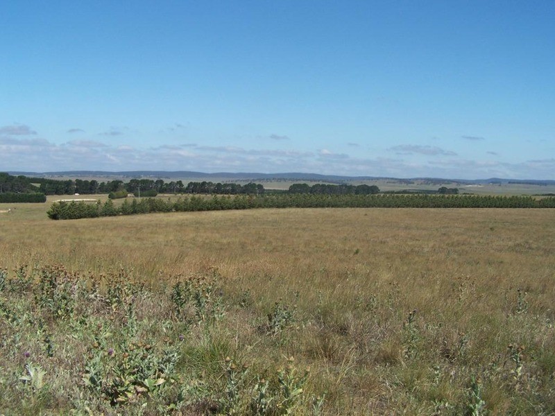 Lot 3 Gundary Lane, Goulburn NSW 2580