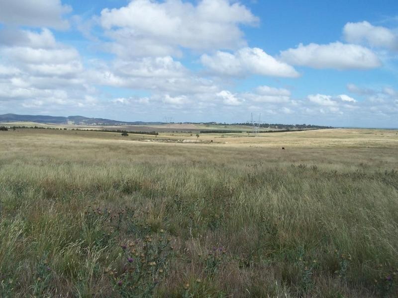 Lot 4 Mollys Lane, Goulburn NSW 2580