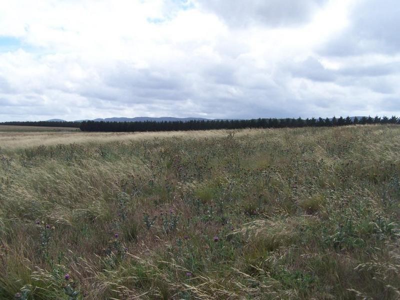 Lot 4 Mollys Lane, Goulburn NSW 2580