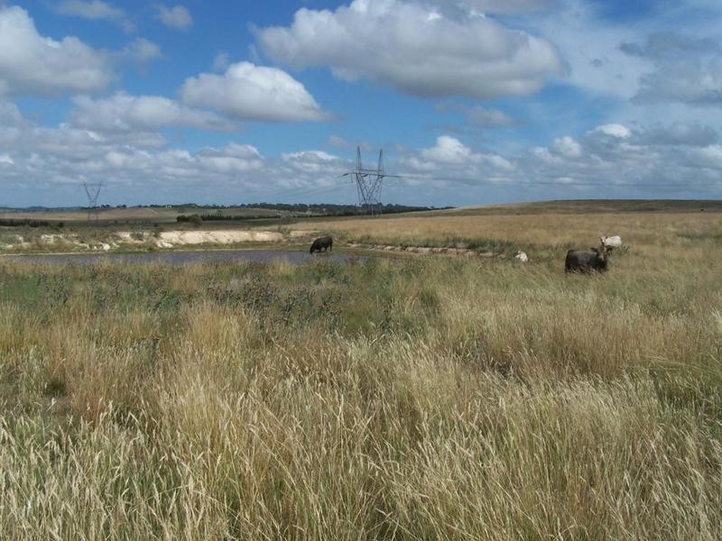 Lot 4 Mollys Lane, Goulburn NSW 2580