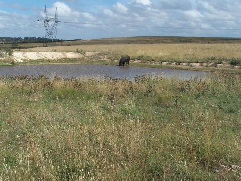 Lot 4 Mollys Lane, Goulburn NSW 2580