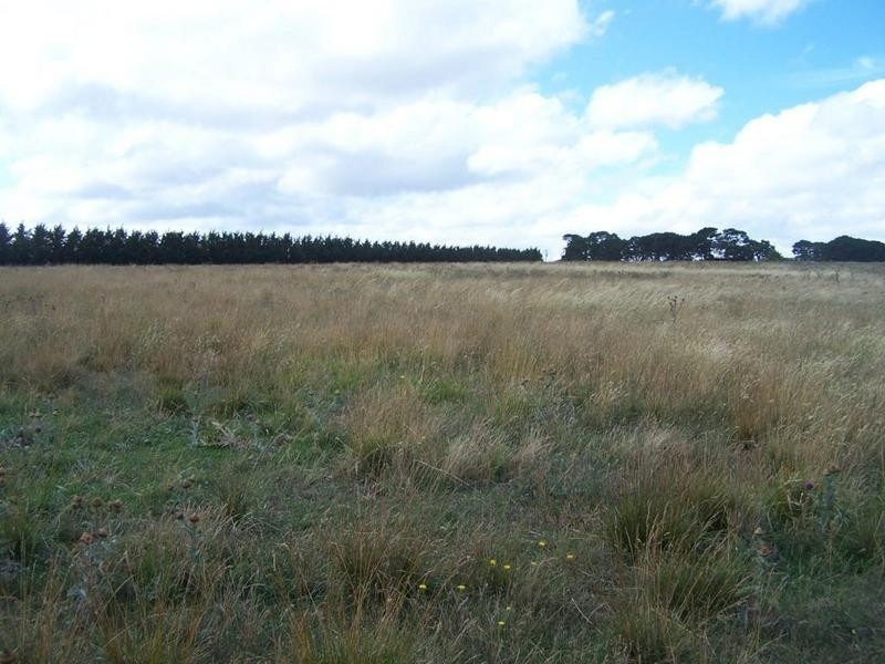 Lot 4 Mollys Lane, Goulburn NSW 2580