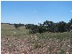 61 Barkers Lane, Yarra NSW 2580