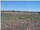 61 Barkers Lane, Yarra NSW 2580