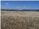 61 Barkers Lane, Yarra NSW 2580