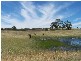 Lot 8 Golden Plains Road, Goulburn NSW 2580