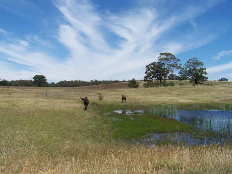 Lot 8 Golden Plains Road, Goulburn NSW 2580