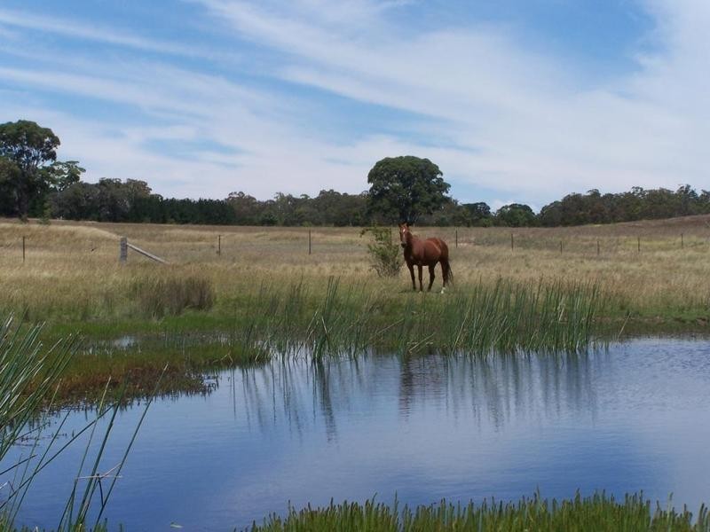 Lot 8 Golden Plains Road, Goulburn NSW 2580