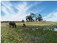 Lot 8 Golden Plains Road, Goulburn NSW 2580