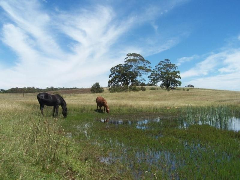 Lot 8 Golden Plains Road, Goulburn NSW 2580