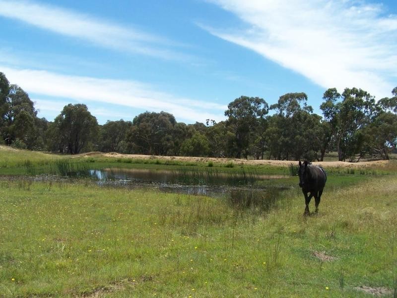 Lot 8 Golden Plains Road, Goulburn NSW 2580