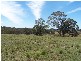 Lot 8 Golden Plains Road, Goulburn NSW 2580