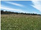 Lot 8 Golden Plains Road, Goulburn NSW 2580