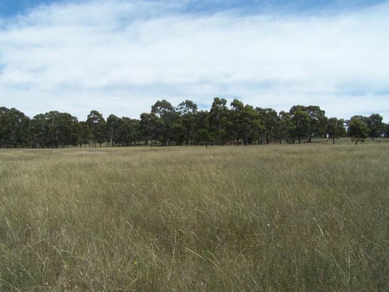 Lot 8 Golden Plains Road, Goulburn NSW 2580
