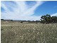 Lot 8 Golden Plains Road, Goulburn NSW 2580