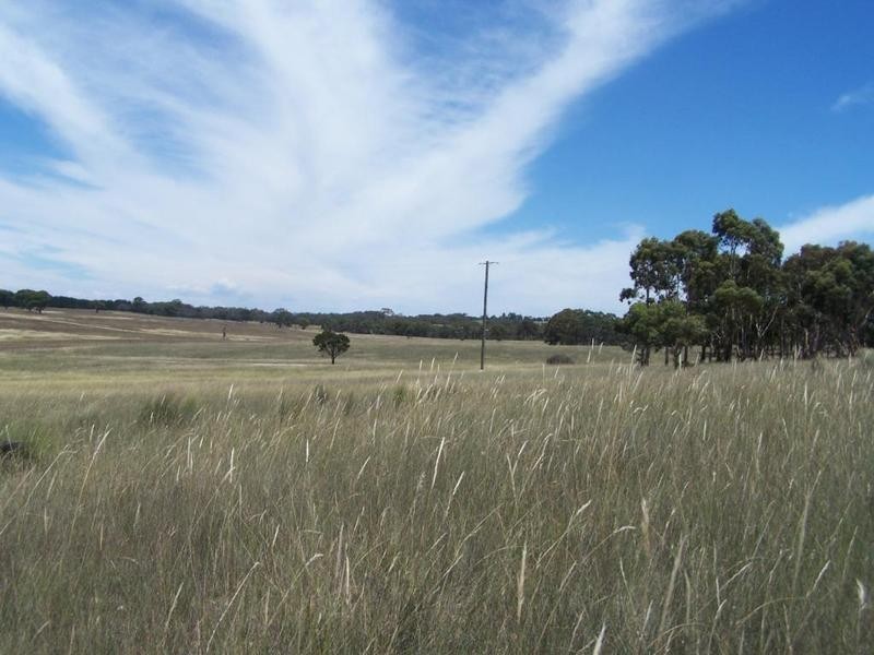 Lot 8 Golden Plains Road, Goulburn NSW 2580