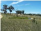 Lot 8 Golden Plains Road, Goulburn NSW 2580