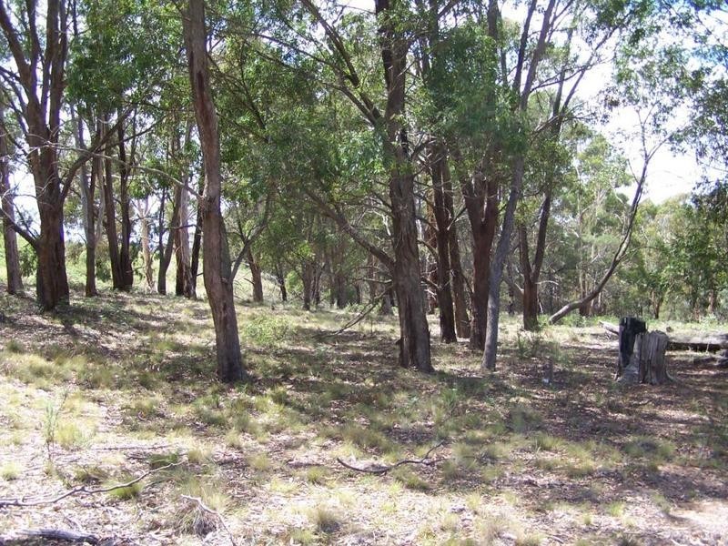 lot 2 Coven Creek Road, Lake Bathurst NSW 2580