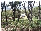Lot 1  Coven Creek Road, Lake Bathurst NSW 2580