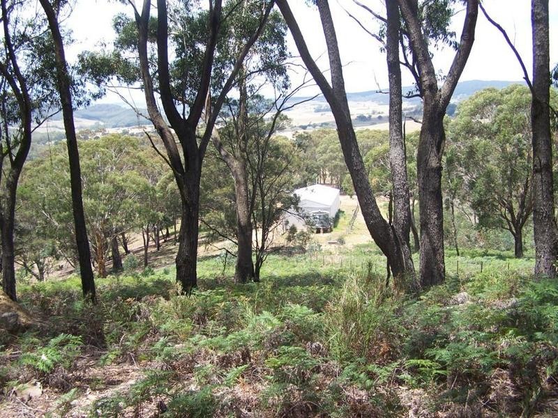 Lot 1  Coven Creek Road, Lake Bathurst NSW 2580